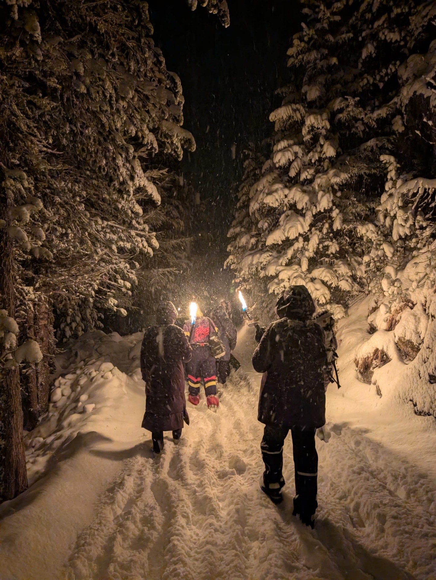 A night walk through snowy forest lit by torches